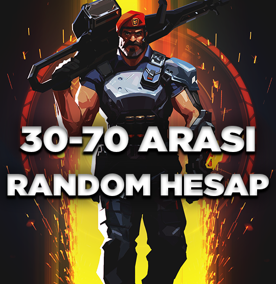 30-70-skinli-random-hesap